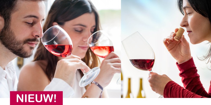 Wijnkennis: De basis
